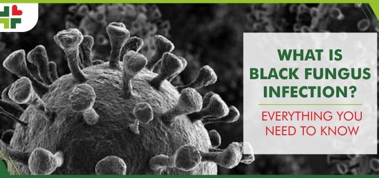 What is Black Fungus Infection? Everything You Need To Know