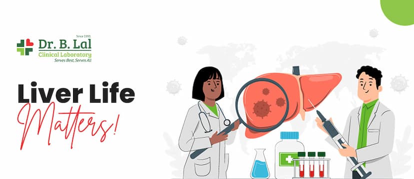 Liver Function Test: Everything You Need To Know!