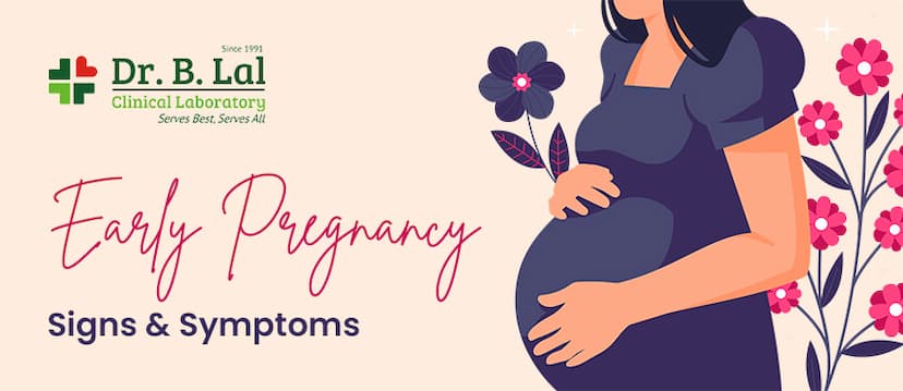 Know About Early Pregnancy Signs, Symptoms and Tests 