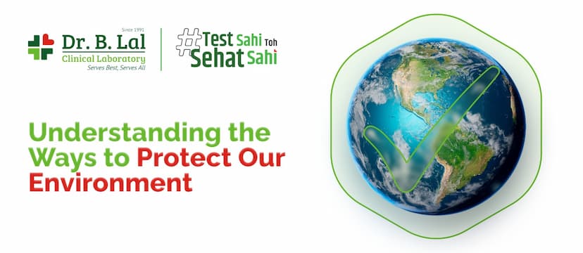 Understanding the Ways to Protect Your Environment