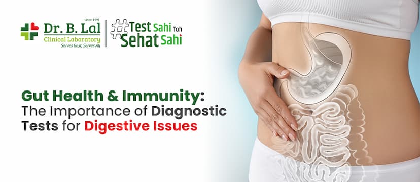 Gut Health & Immunity: The Importance of Diagnostic Tests for Digestive Issues
