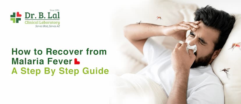 How To Recover From Malaria Fever - A Step By Step Guide