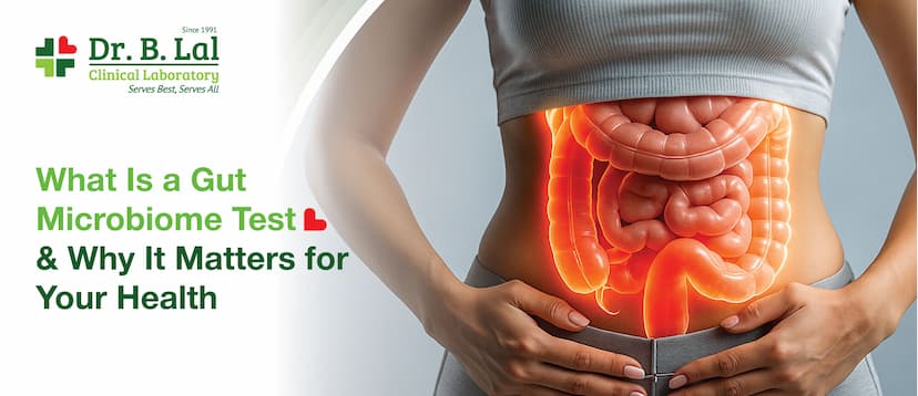 What Is a Gut Microbiome Test & Why It Matters for Your Health
