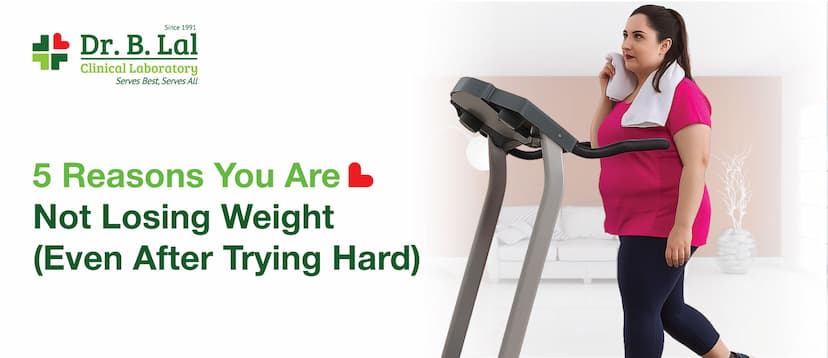 5 Reasons You Are Not Losing Weight (Even After Trying Hard)