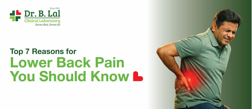 Top 7 Reasons for Lower Back Pain You Should Know