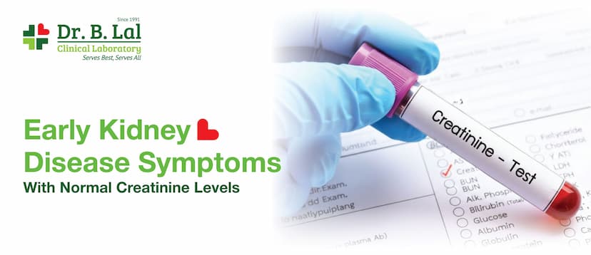 Early Kidney Disease Symptoms With Normal Creatinine Levels: What Most People Don’t Realise