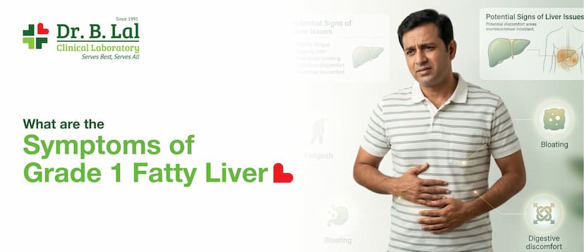 What are the Symptoms of Grade 1 Fatty Liver