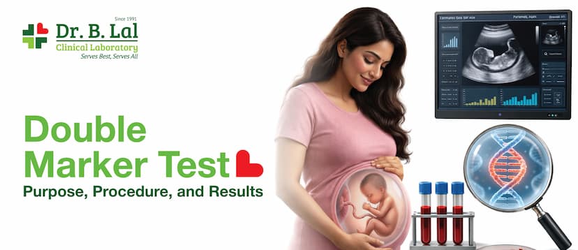 Double Marker Test: Purpose, Procedure, and Results