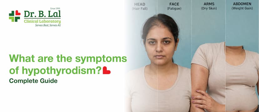 What Are the Symptoms of Hypothyroidism? Complete Guide