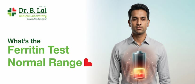 What’s the Ferritin Test Normal Range?