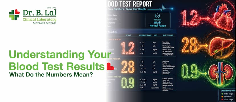 Understanding Your Blood Test Results: What Do the Numbers Mean?