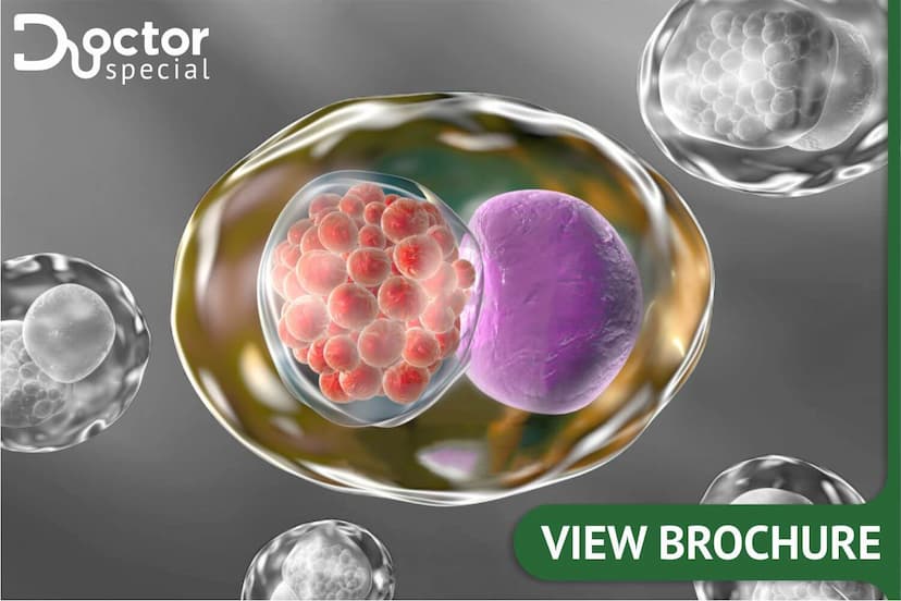 Chlamydia Trachomatis Detection By PCR
