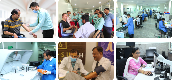 Our Expertise